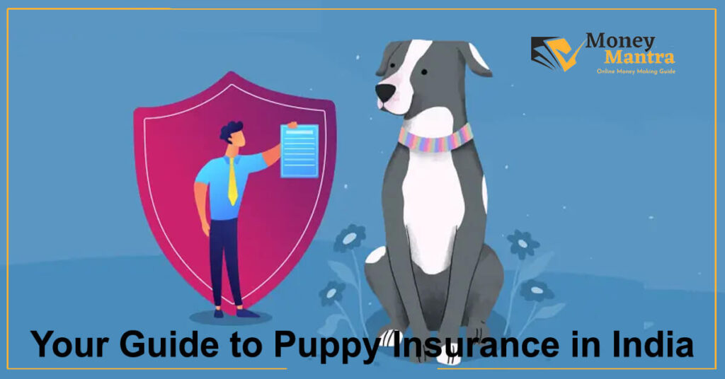 Your Guide to Puppy Insurance in India